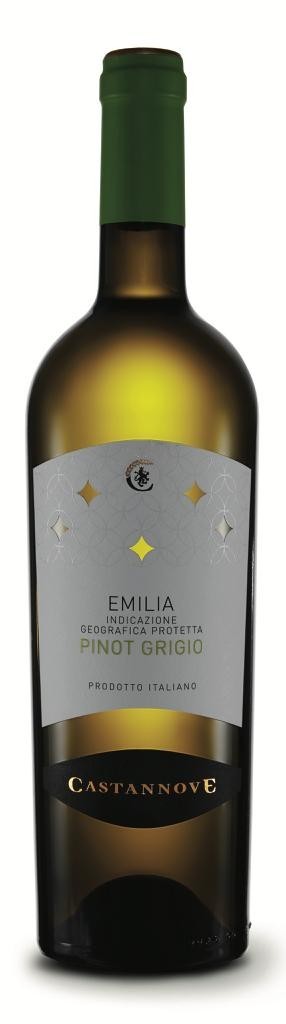 Pinot Grigio EMILIA IGP BT DA 2022