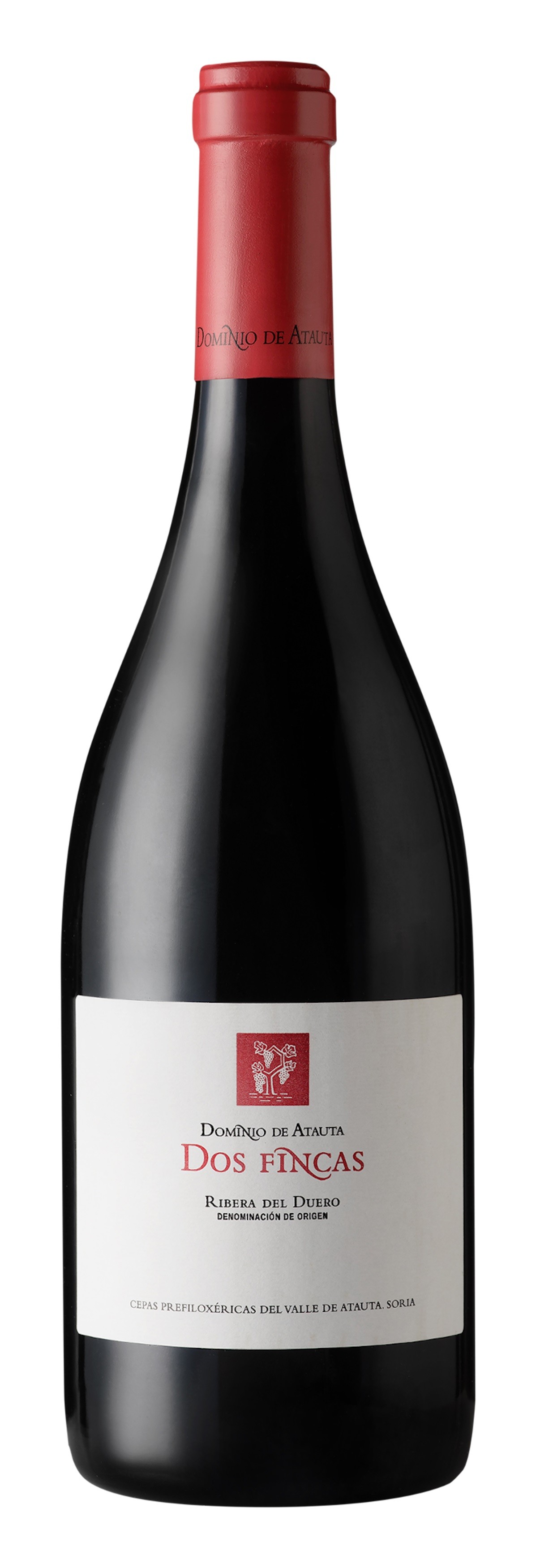 Dominio de Atauta Dos Fincas 2018