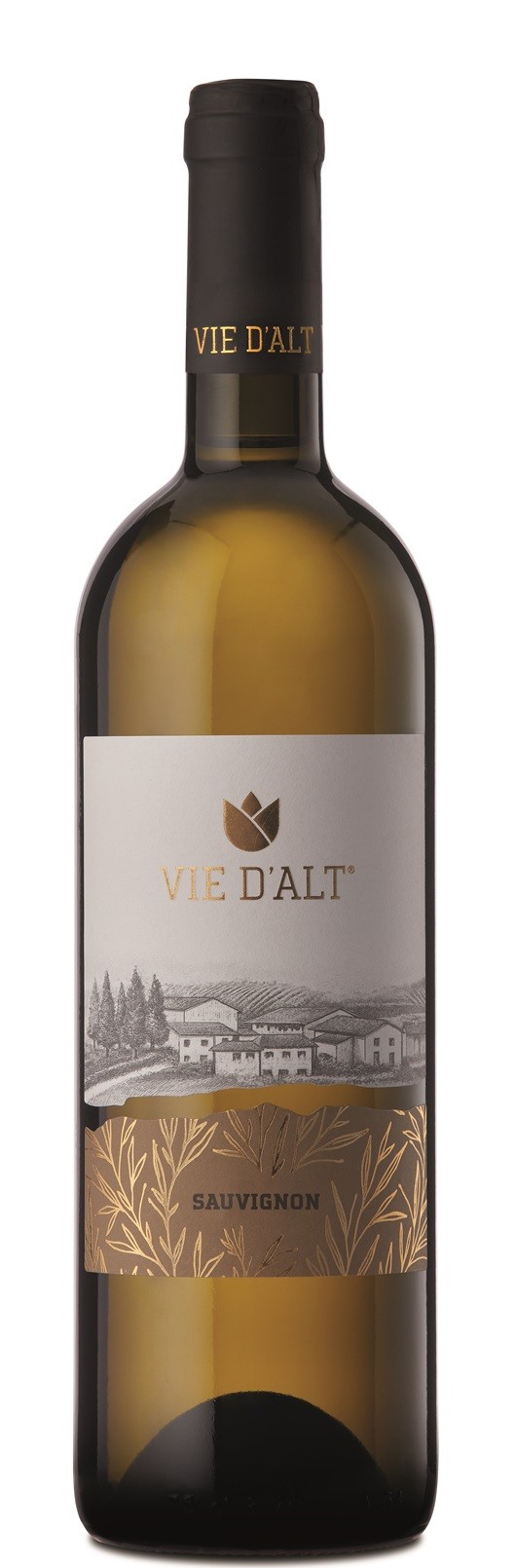 Sauvignon DOC 2022 – Friuli Colli Orientali, Vie D´Alt