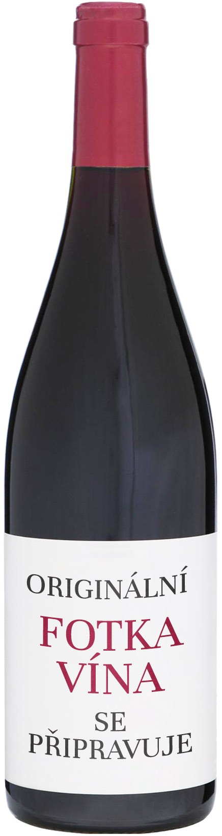 Meursault blanc 2023, Domaine Pascal Prunier - Bonheur